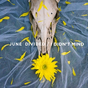 I Didn't Mind - Single