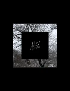 MSKSQUAD dinle, müzik videolarını izle, biyografisini oku, tur tarihlerini ve daha fazlasını gör!