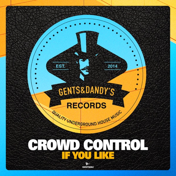 If You Like - EP