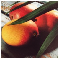 Para Manga - Single - Fona & Styn