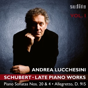 Schubert: Late Piano Works, Vol. 1 (Piano Sonatas Nos. 20 & 4 And the Allegretto, D. 915)