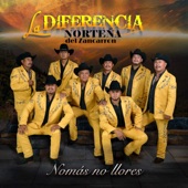 Nomas No Llores artwork