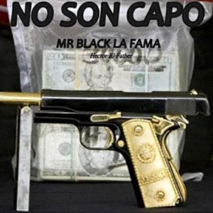 No Son Capo (feat. Hector el Father)