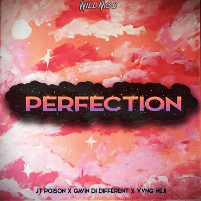 Perfection (feat. JT Poison, Gavin Di Different & Mikah HearrtFacee) - Single