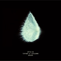 TIFFANY (feat. LaFLEURRR) - Single - Shizuo