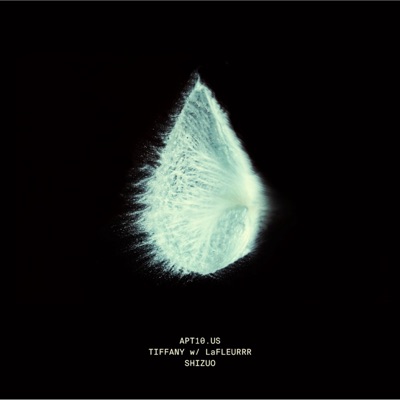 TIFFANY (feat. LaFLEURRR) - Single