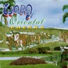 Wara - Noches De Amor
