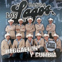 Reggaeton Y Cumbia - Banda Los Lagos