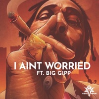 I Ain't Worried - Single - The Goat Farm