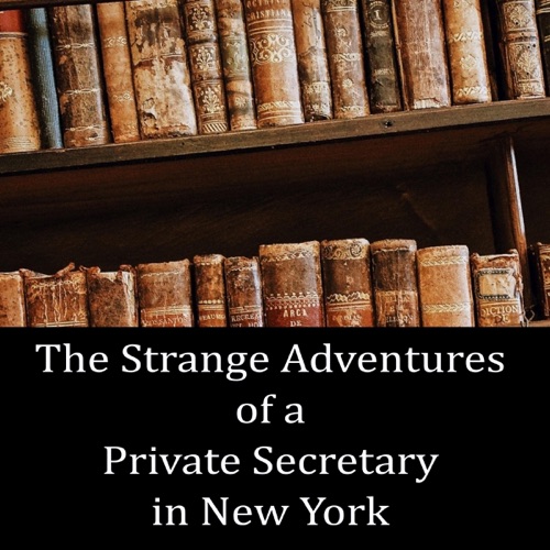 The Strange Adventures of a Private Secretary in New York (Unabridged) cover