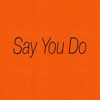Say You Do - Single