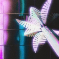 Layover - O.D. ASTRO