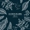 Apeiron - Leom lyrics