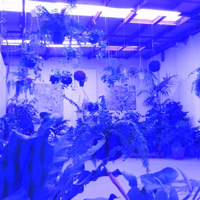 Blue Monday - Single