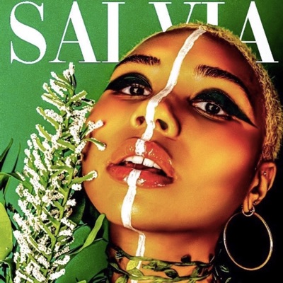 Salvia