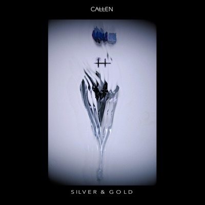 Silver & Gold - Single
