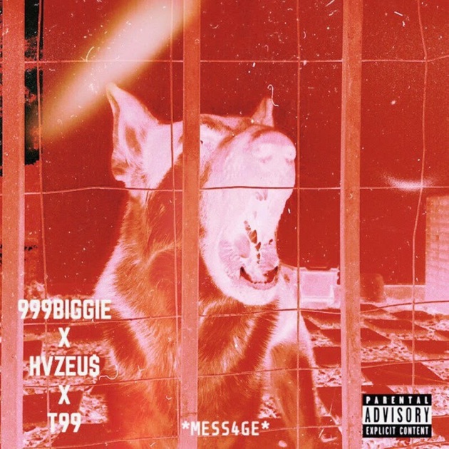 Anasthasia (The Freestylers Remix) - Single - Album by T99 - Apple