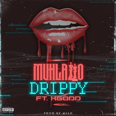 Drippy (feat. Kgodd) - Single