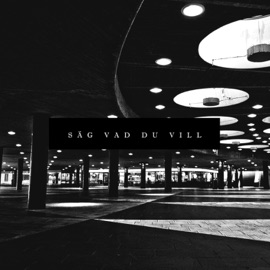 SÄG VAD DU VILL (feat. Måns) Mandy Rich & Måns Billner