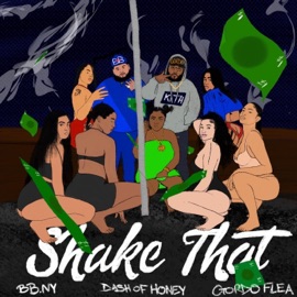 Shake That (feat. Dash of Honey & Gordo Flea) BB NY