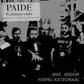 Hirmu katedraal