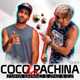 Coco la Pachina Zvika Brand, 242 & E-Z