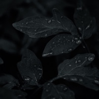 Imperfection's - Single - True C