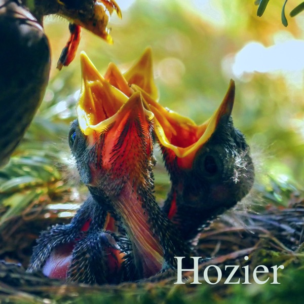Hozier - Single