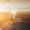 Element - Single