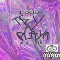 Try a Playa - Single - Pdub