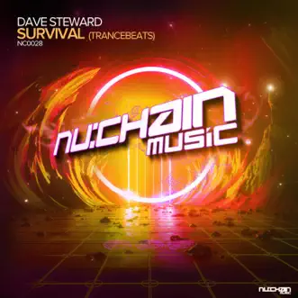 Survival (Original Dub Mix) by Dave Steward song reviws