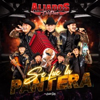 Se Fue la Pantera (En Vivo) - Single - Aliados del Patron