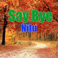 Say Bye - Single - Nitu