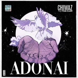 ADONAI (feat. Tds Cam) Chiwaz
