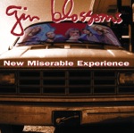 Gin Blossoms - Found Out About You