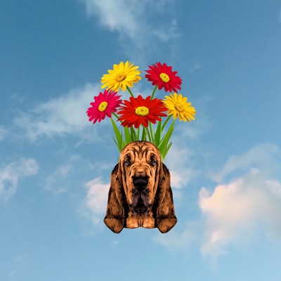 Bloodhound - Single