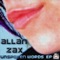 Unspoken Words (Sen-Sei & LHK Remix) - Allan Zax lyrics