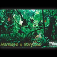 Monkeys & Gorrilas (feat. I.D.K OF DK) - Single - Dubzofdk