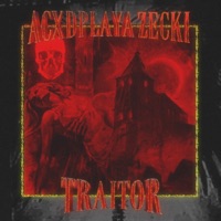 TRAITOR (feat. zecki) - Single - ACXD PLAYA