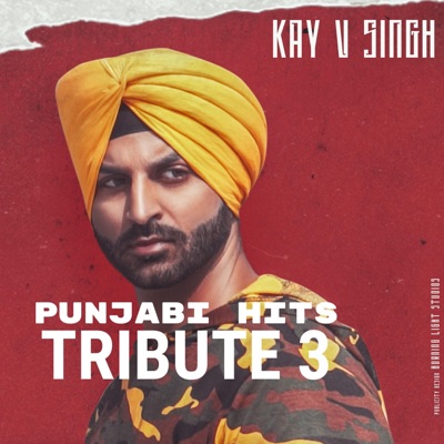 Punjabi Hits Tribute 3 - Single