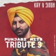 Punjabi Hits Tribute 3 Single