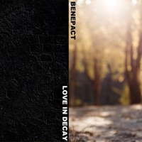 Love in Decay - Single - Benepact