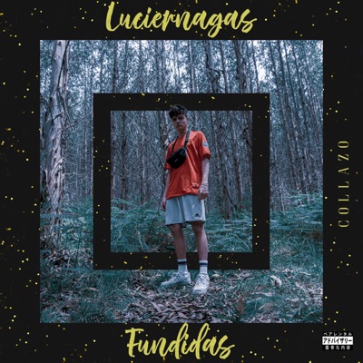 Luciernagas Fundidas - Single