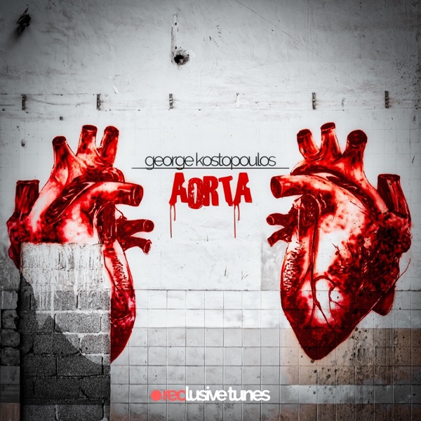 Aorta - Single