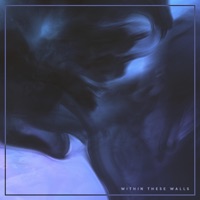 Within These Walls - Single - R3V & slashrr