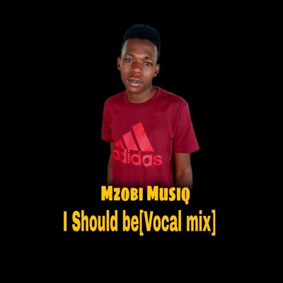 I should be (feat. Mzobi Musiq) - Single