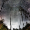 Ghost Woods - Chihei Hatakeyama