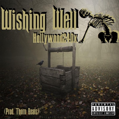 Wishing Well. - Single