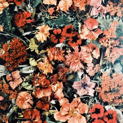 Flor De Verão - Single