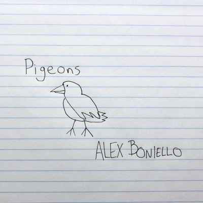 Pigeons - Single